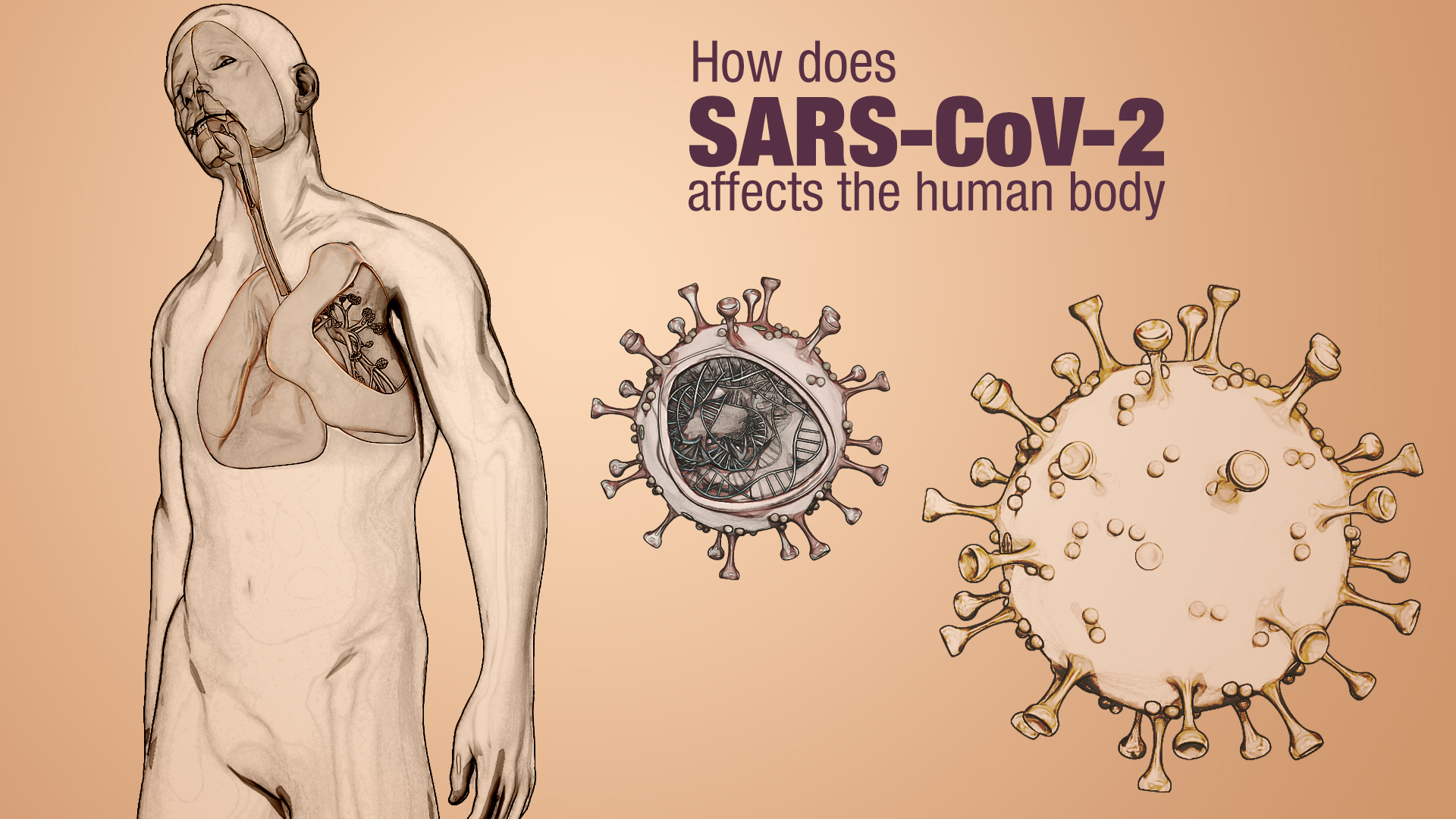 Effects of SARS-CoV-2 infection