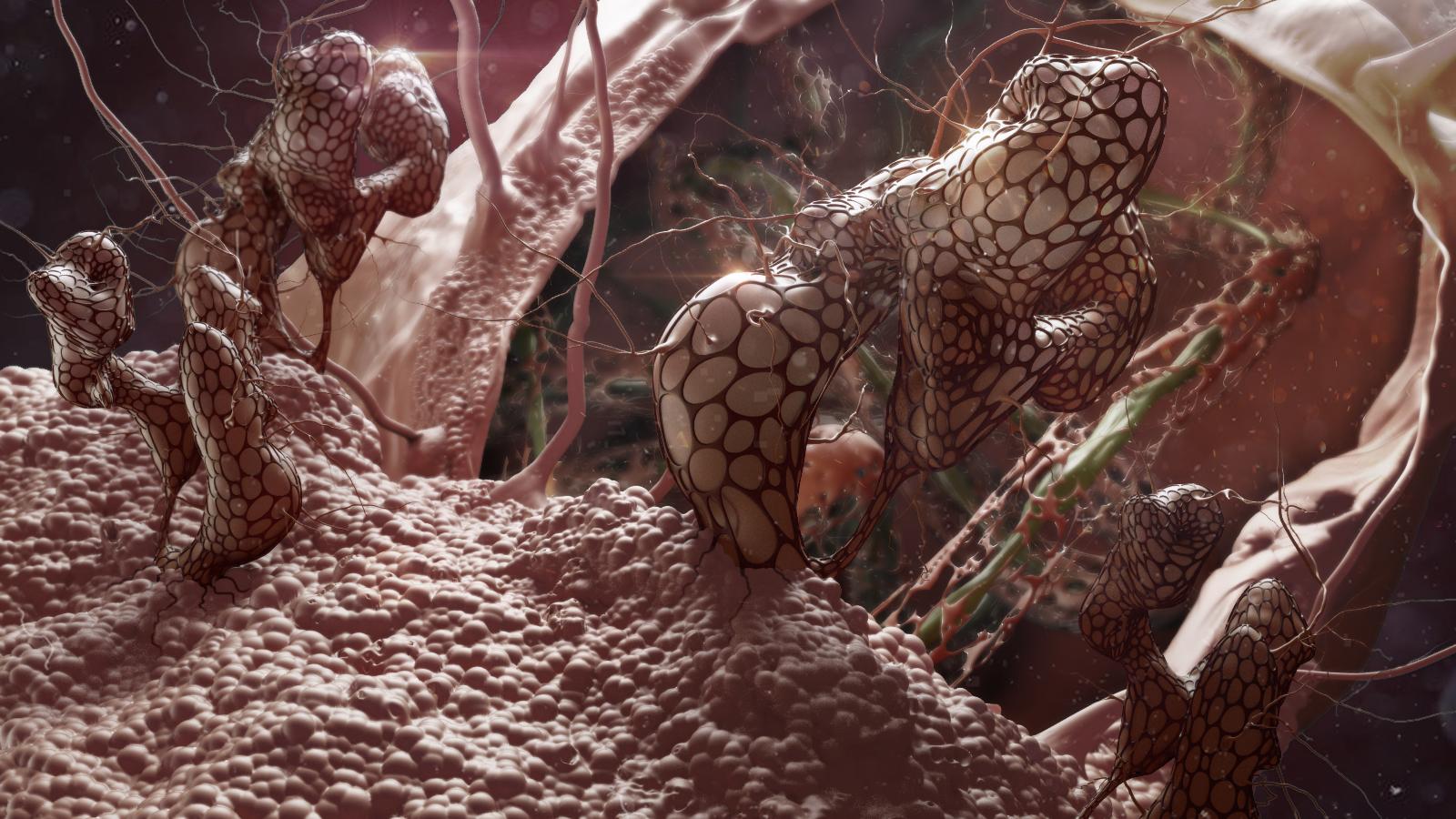 SARS-CoV main protease