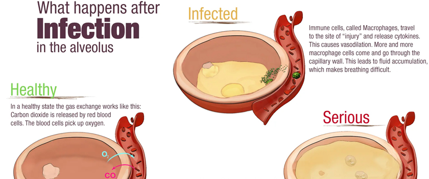 Digital Artist Services - Explainer Videos