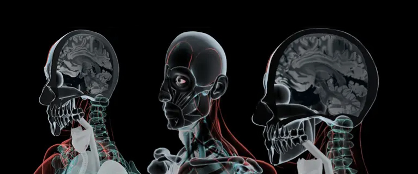 Digital Artist Services - Medical Animation