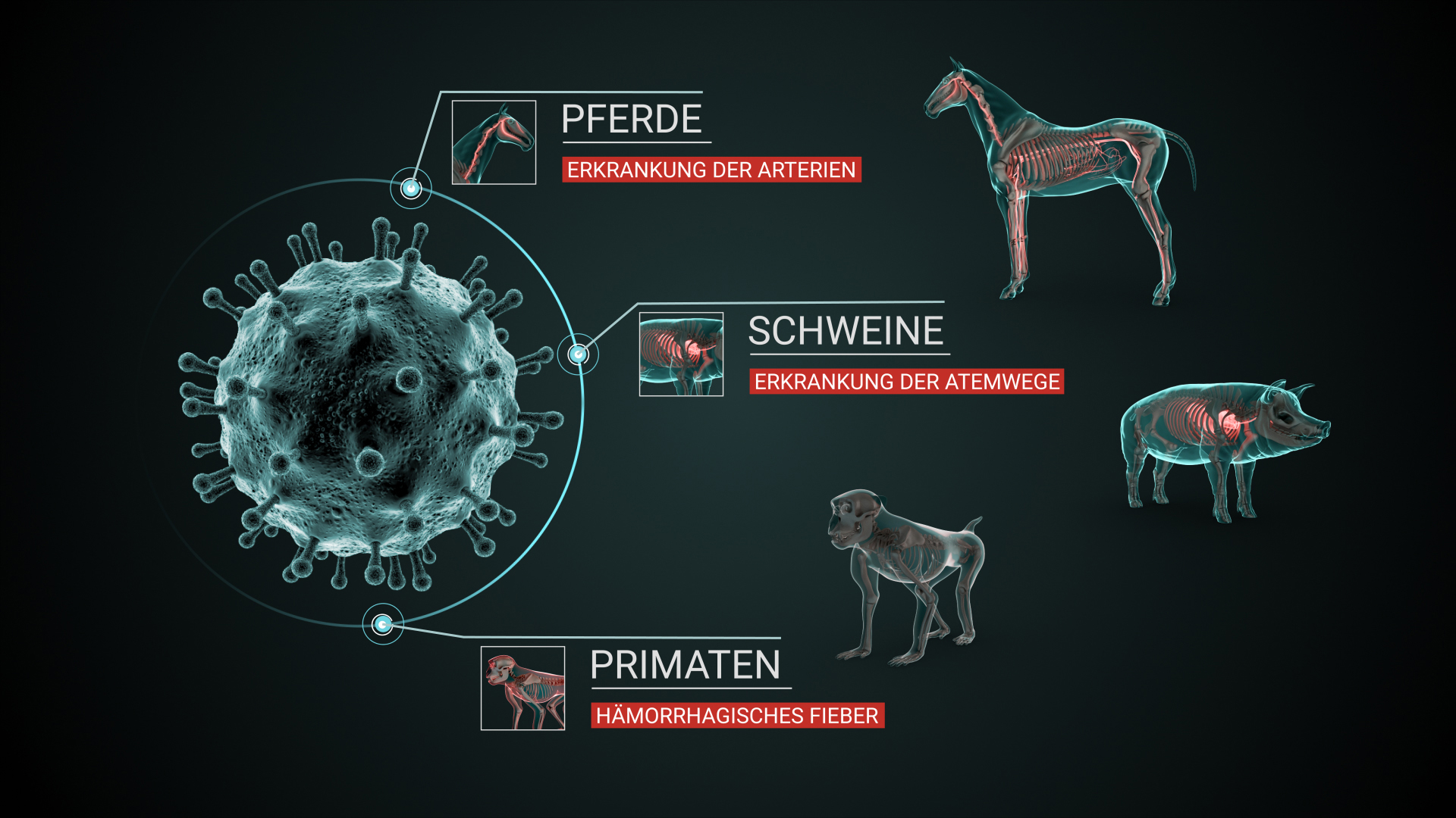 Pandemic Documentary